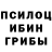 Галлюциногенные грибы GOLDEN TEACHER Dj Moroz