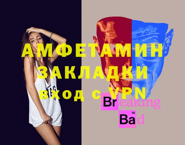 гидра Абаза