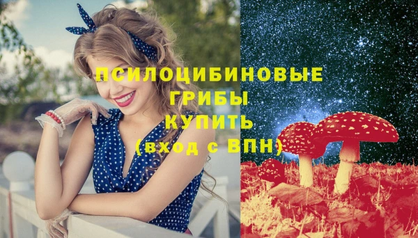 гидра Абинск