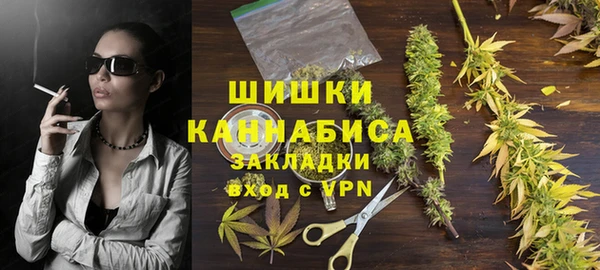 гидра Абаза
