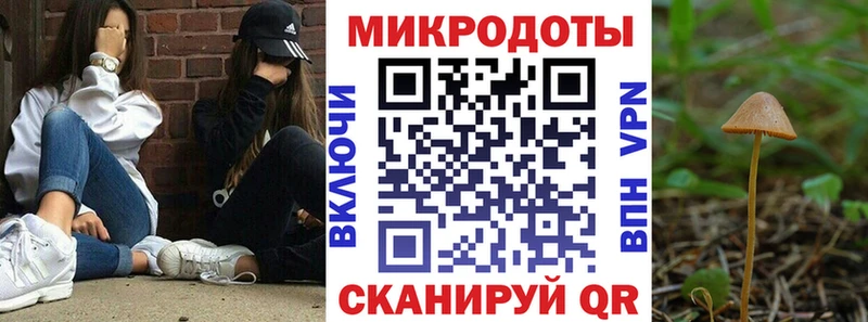 Галлюциногенные грибы Psilocybe  купить   Райчихинск 